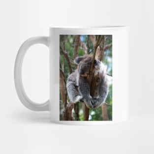 No Such Thing As Too Relaxed For A Koala Mug